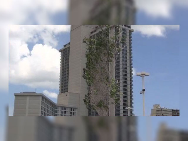 Ivy VFX on a highrise